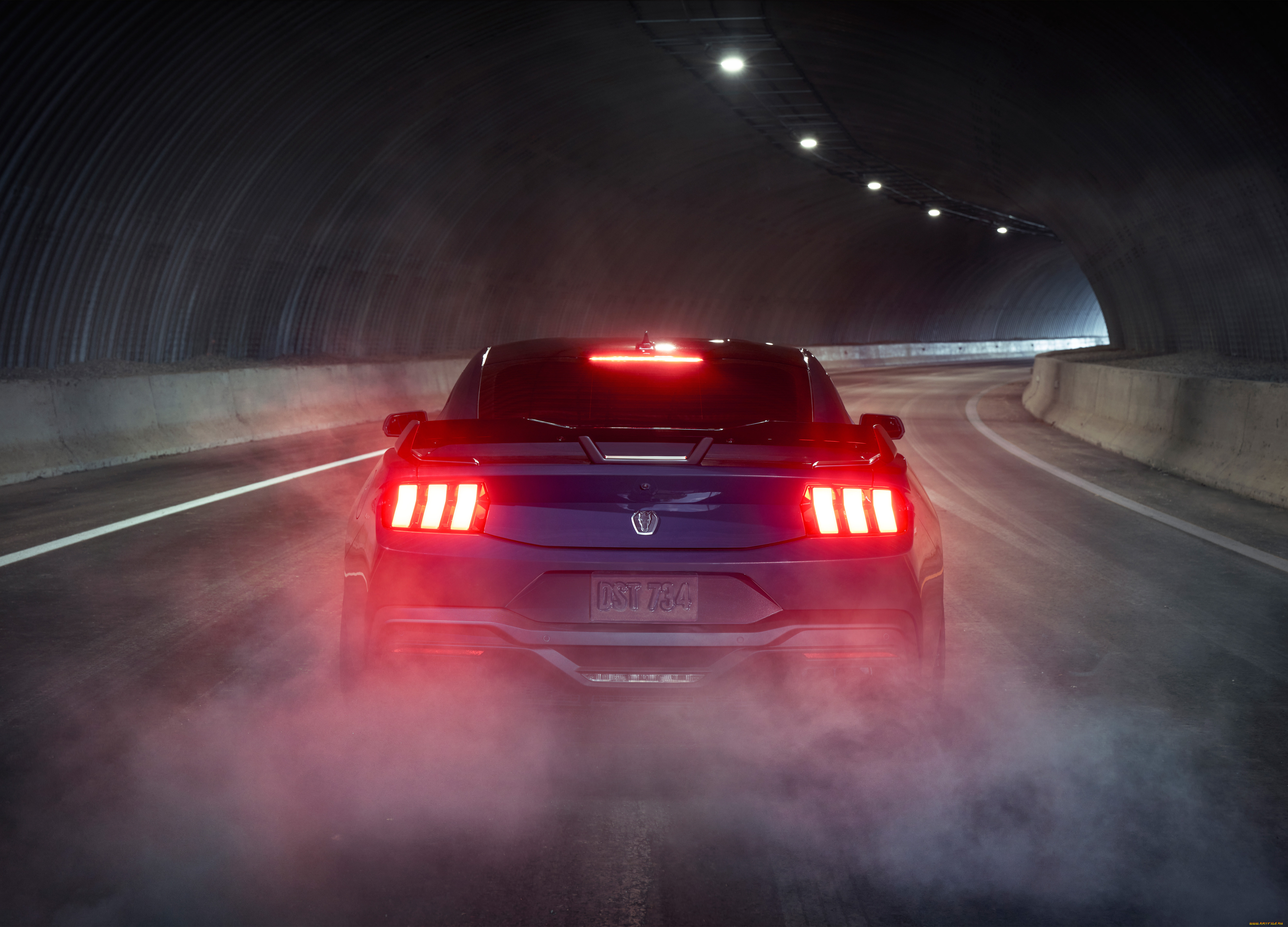 , mustang